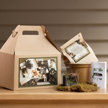 Growing Tree Kit