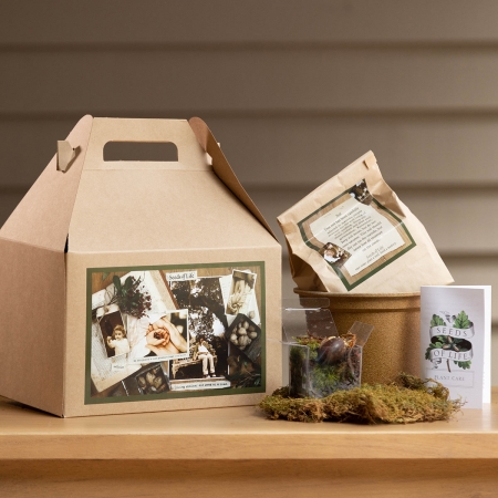 Growing Tree Kit