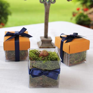 Buttercup / Navy